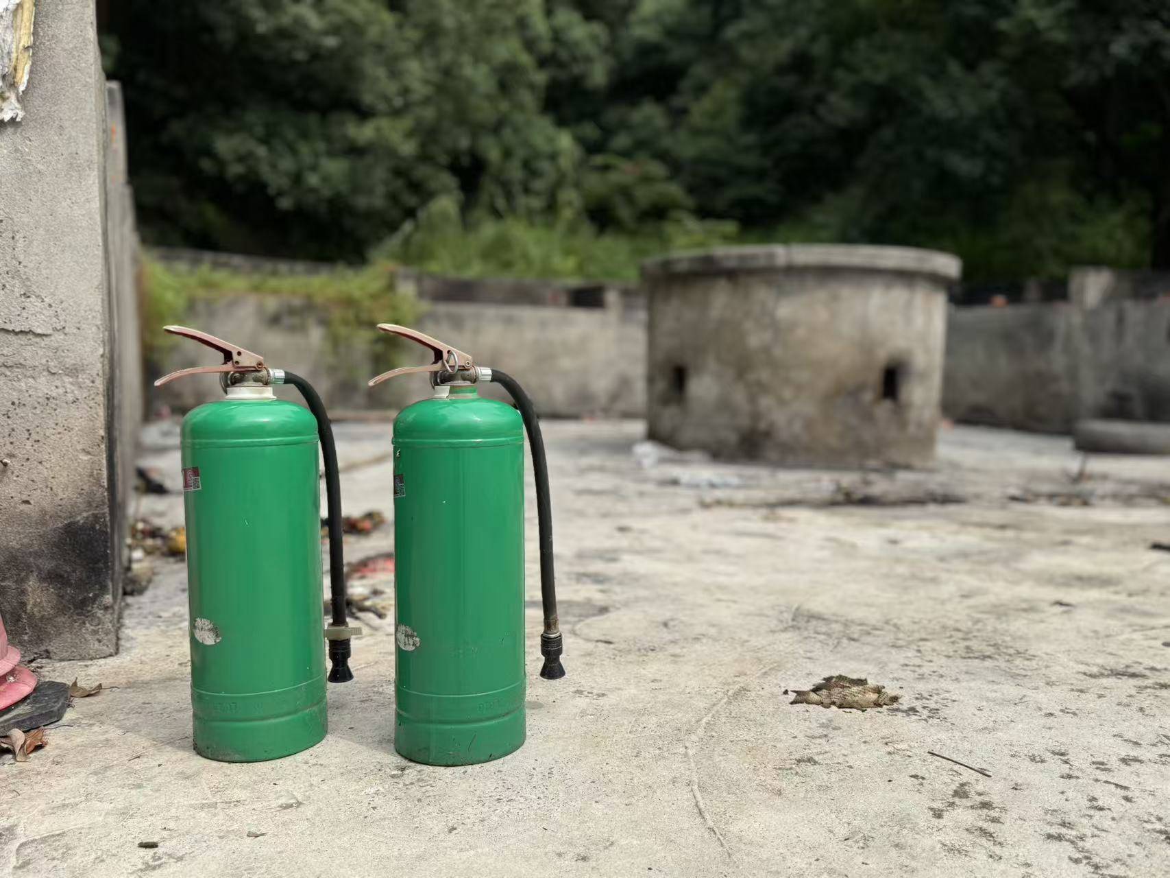 中元节：龙居山陵园一盏河灯念故人(图2)