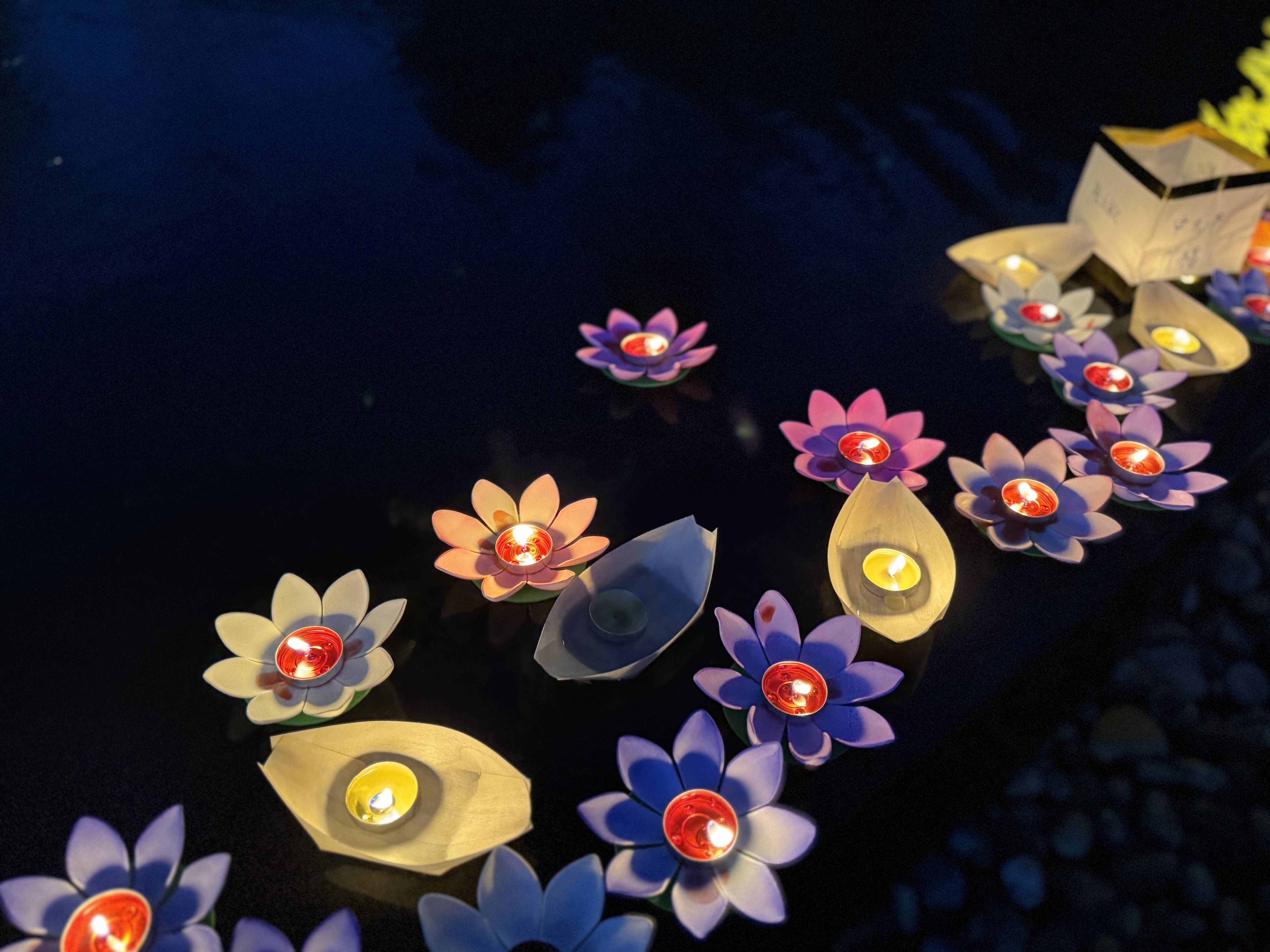 中元节：龙居山陵园一盏河灯念故人(图3)