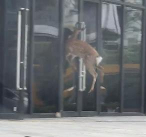 【8点见】第十二批在韩中国人民志愿军烈士遗骸在沈阳安葬(图6)