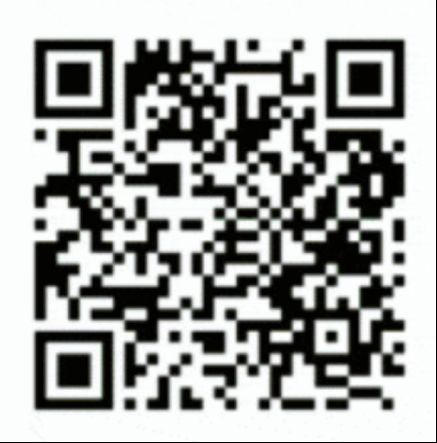 球盟会：联动2025世界赛艇锦标赛 青浦还有这么多好去处(图6)