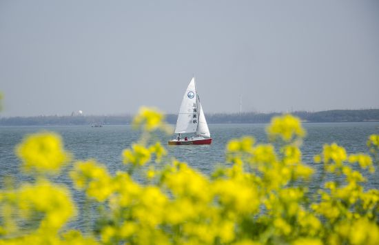 球盟会：联动2025世界赛艇锦标赛 青浦还有这么多好去处(图11)