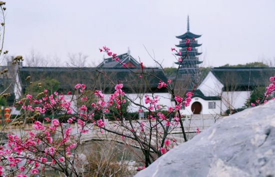 球盟会：联动2025世界赛艇锦标赛 青浦还有这么多好去处(图17)