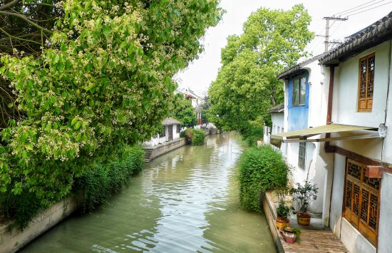 球盟会：联动2025世界赛艇锦标赛 青浦还有这么多好去处(图21)