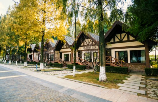 球盟会：联动2025世界赛艇锦标赛 青浦还有这么多好去处(图23)