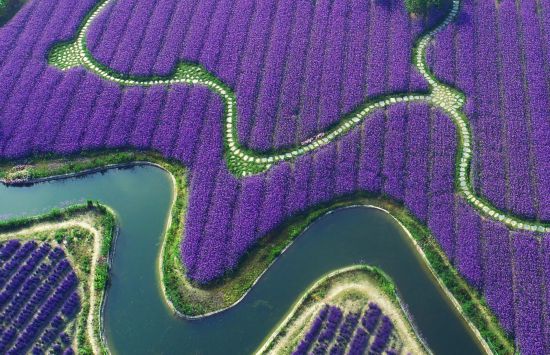 球盟会：联动2025世界赛艇锦标赛 青浦还有这么多好去处(图30)