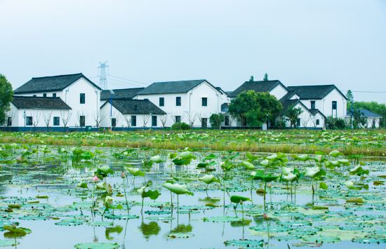 球盟会：联动2025世界赛艇锦标赛 青浦还有这么多好去处(图37)