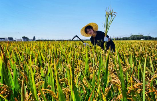 球盟会：联动2025世界赛艇锦标赛 青浦还有这么多好去处(图32)