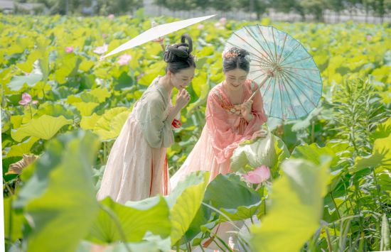 球盟会：联动2025世界赛艇锦标赛 青浦还有这么多好去处(图38)