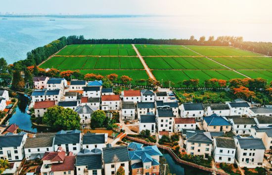 球盟会：联动2025世界赛艇锦标赛 青浦还有这么多好去处(图41)