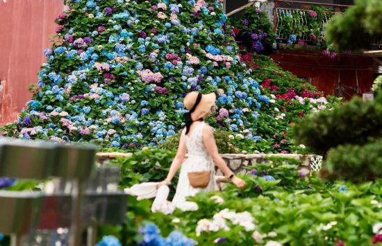 球盟会：联动2025世界赛艇锦标赛 青浦还有这么多好去处(图43)