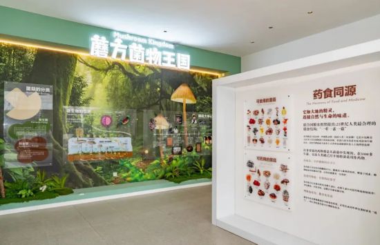 球盟会：联动2025世界赛艇锦标赛 青浦还有这么多好去处(图48)