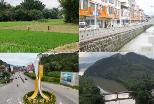 文旅先锋助振兴 多彩乡村展新颜——广东工程职业技术学院文旅先锋突击队赴桥头镇开展暑期三下乡实践(图3)