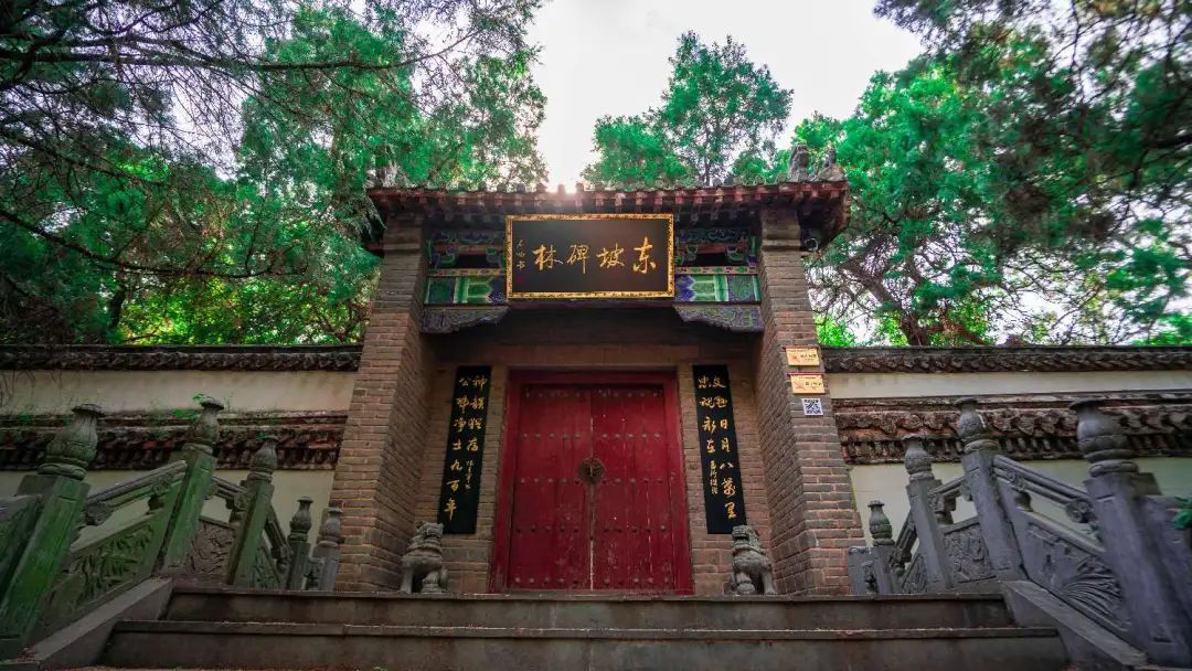 拒做“卷王”！来河南小县邂逅秋日美好｜月满华诞8天乐(图9)