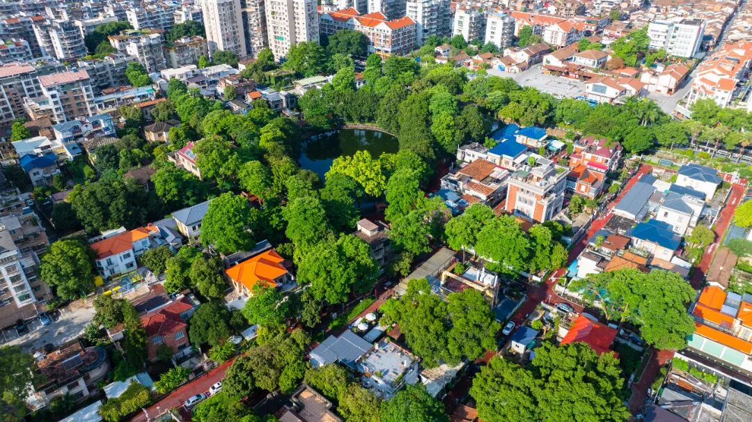 奋勇争先这一年：奋楫扬帆的漳州(图2)