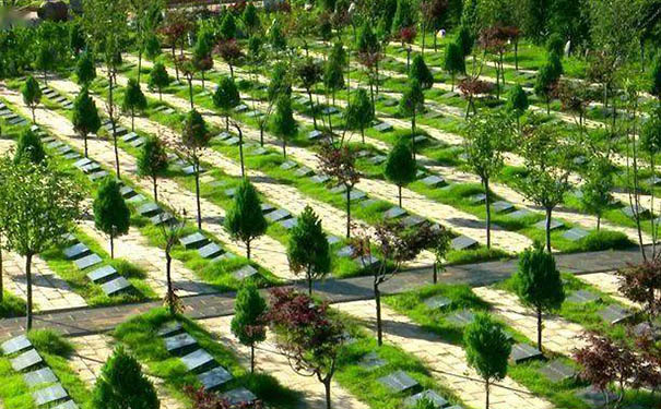 什么是绿色殡葬？(图1)