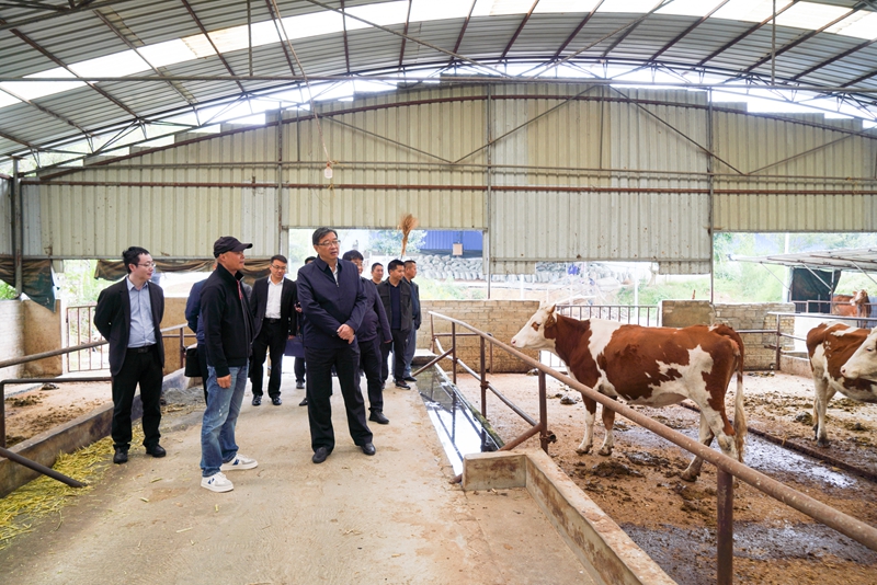 安顺职院：服务乡村振兴 书写安职担当(图2)