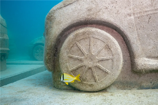 球盟会：迈阿密将22辆“汽车”推入海底 给珊瑚当家(图2)