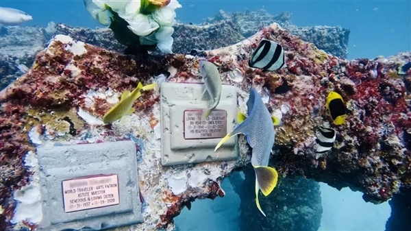 球盟会：迈阿密将22辆“汽车”推入海底 给珊瑚当家(图11)