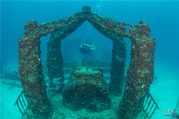 球盟会：迈阿密将22辆“汽车”推入海底 给珊瑚当家(图10)