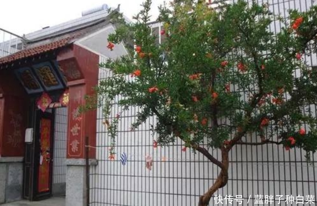 批前公示！奉化莼湖街道金地村未来这样规划(图1)