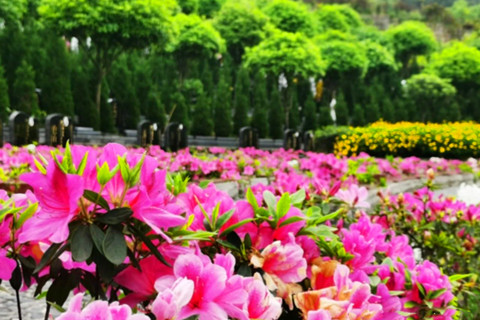 新疆福寿园殡葬服务有限责任公司：墓地、殡葬、一条龙用品、公墓全场景服务优选(图1)