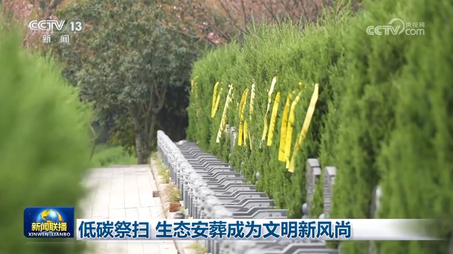 低碳祭扫 生态安葬成为文明新风尚(图1)