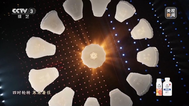 球盟会入口：极致东方美学！揭秘春晚节目《贺花神》创作过程(图7)