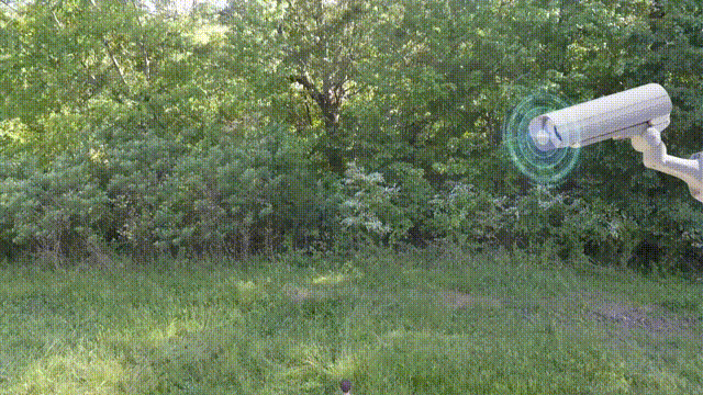 智能哨兵上岗 用AI守护候鸟与红树林的生死线(图3)