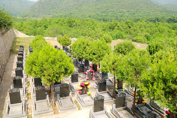 大连金信德软件股份有限公司(图1)