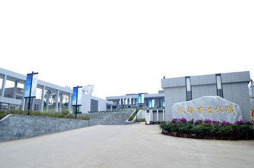 2026年热门的灵车租赁服务口碑排行(图1)