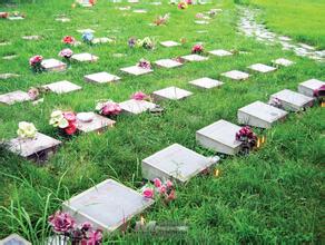 织密养老“幸福网” 厚植殡葬“文明情”(图1)