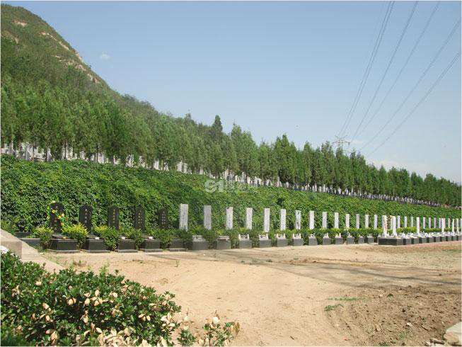 互联网群英乱战 重新捉对成劲敌(图1)