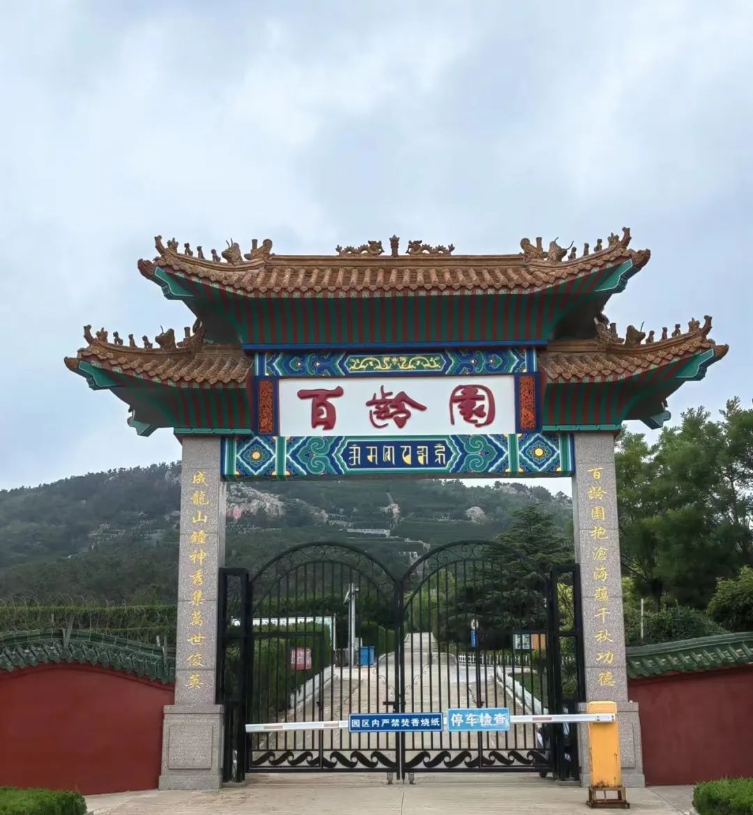 2026年清明祭英烈心得体会500字（精选五篇）(图1)