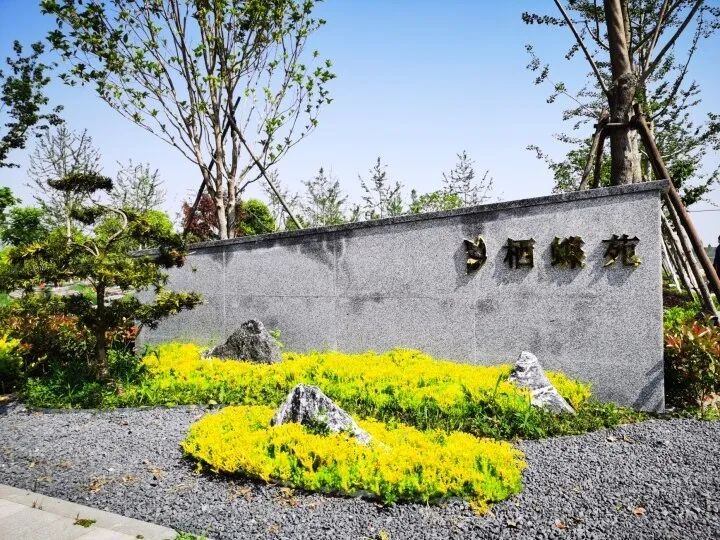 殡葬师曾提醒：选择当天火化、不办仪式的一日丧要先想清这3点(图1)