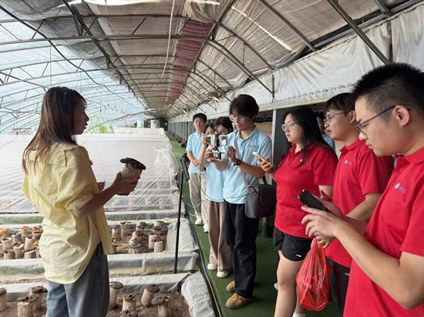三明学院经济与管理学院连续五年开展闽宁社会实践活动(图2)